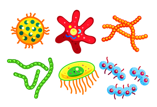 Streptococci and staphylococcus, spirillae and star-shaped flat bacteria types isolated. Little dangerous germ variety cartoon vector illustrations
