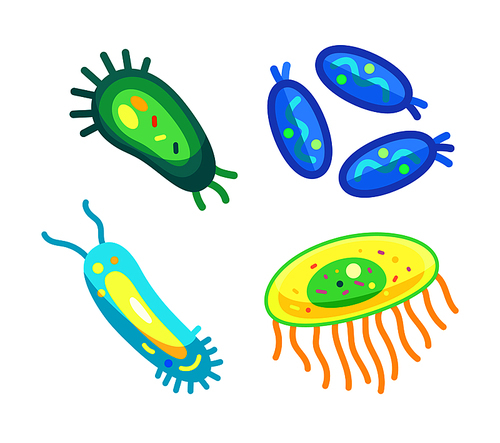 Bacteria set of different germs with lines and scores. Microorganisms causing infection and sickness to human life. Microbiology creatures vector