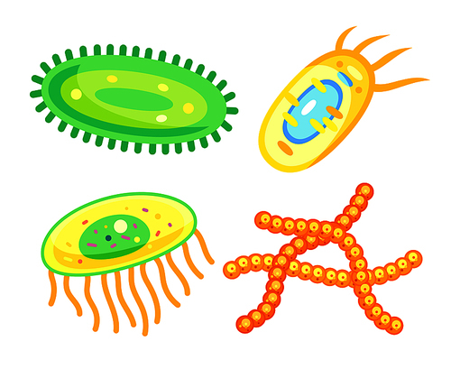 Bacteria and germs cells, microbes vector icons. Microorganisms and viruses disease-causing objects with organelles and flagella, protozoa isolated