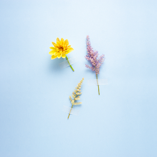 Creative concept still life nature green photo of flowers in bloom with stickers on blue background.