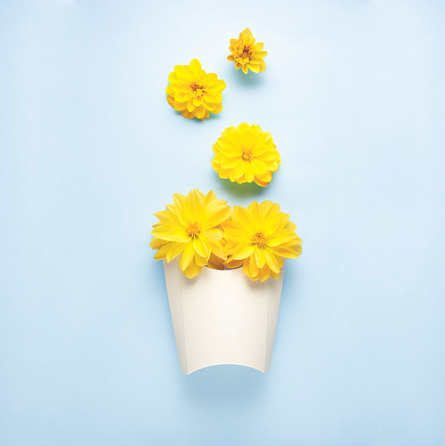 Creative concept still life nature green photo of flowers in bloom with paper fast food box on blue background.