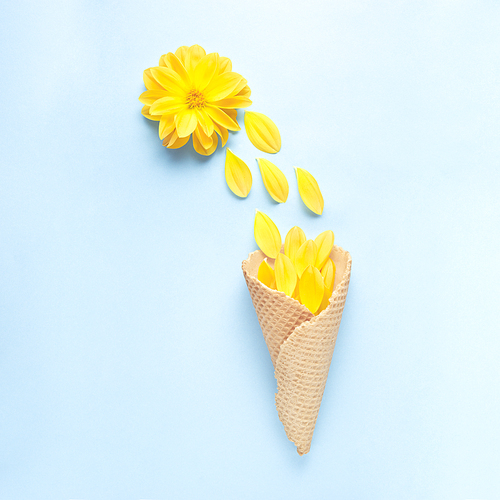 Creative concept still life nature green photo of flowers in bloom with food sweet ice cream waffle cone on blue background.