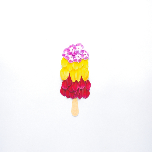 Creative concept still life nature green photo of flowers in bloom in shape of ice cream popsicle on grey background.