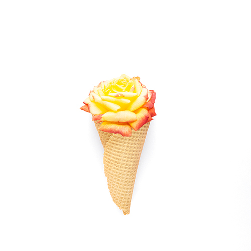 Creative concept still life nature green photo of flowers in bloom with food sweet ice cream waffle cone on white background.