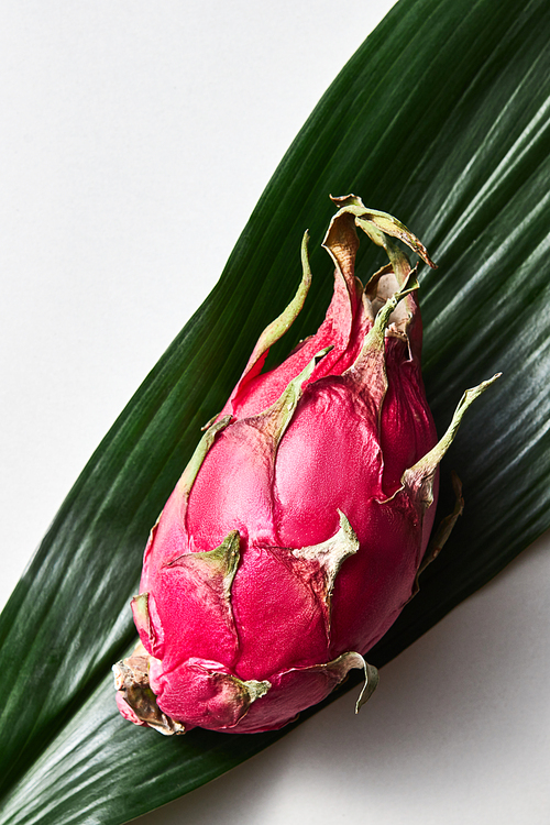 Top view of tropical exotic dragon fruit or pitaya with evergreen leaves with a graphic striped texture isolated on a white background