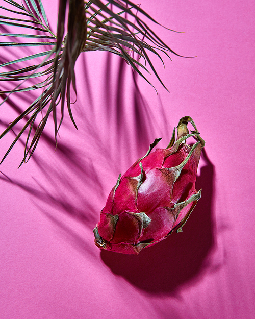 Creative layout made of pink pitahaya with a shadow from the leaves of palm trees, top view and copy space. Food concept.