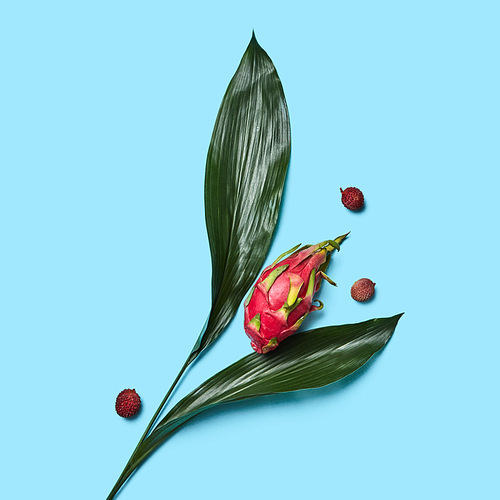 Creative composition of fruits of Pitahaya, lychees and green leaves in the form of a flower on a blue background copy space share text. Flat lay