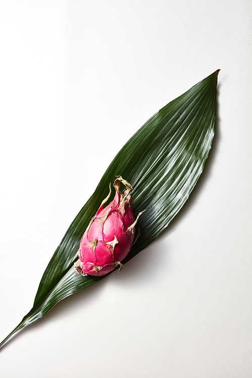 Top view of tropical exotic dragon fruit or pitaya with evergreen leaves with a graphic striped texture isolated on a white background