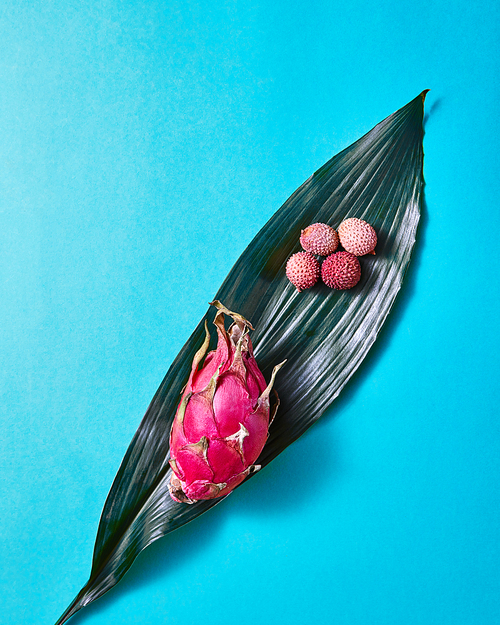 Top view of tropical exotic dragon fruit or pitaya, lychees with evergreen leaves with a graphic striped texture isolated on a blue background
