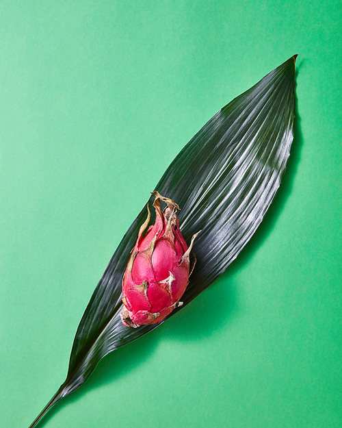 Pythaghia or dragon fruit on a green leaf on a green paper background with copy space. Top view