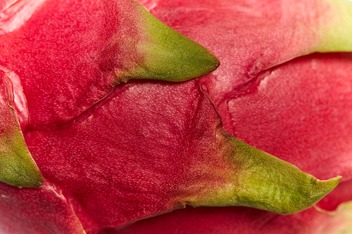 Exotic pink dragonfruit skin macro photo on background. Pitahaya texture photo