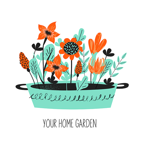 Gardening. Floriculture. Different garden flowers in a large basin. Vector illustration with vintage texture