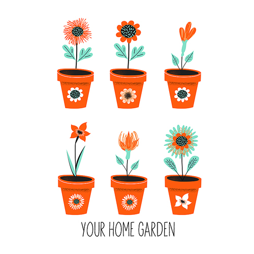 Gardening. Floriculture. Set of pots with flowers. Vector illustration with vintage textures on a white background.