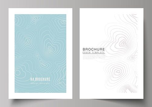 The vector illustration of editable layout of A4 format cover mockups design templates for brochure, magazine, flyer, booklet, annual report. Topographic contour map, abstract monochrome background