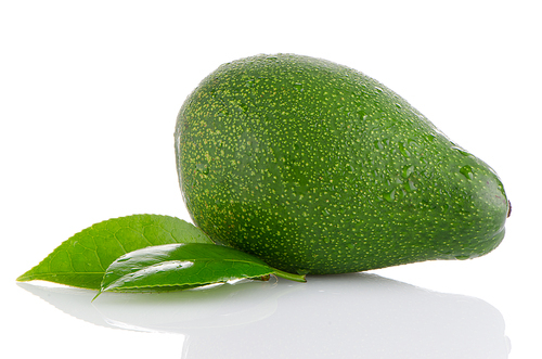 Avocado fruit with leaves isolated on white.