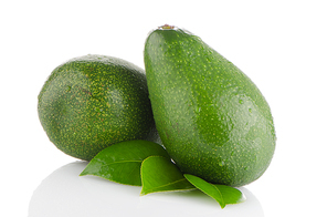 Avocado fruits on white background.