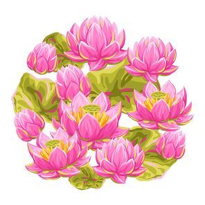 Background with lotus flowers. Water lily decorative illustration. Natural tropical plants.