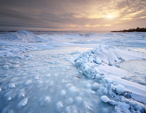 Winter landscape. Composition of nature.