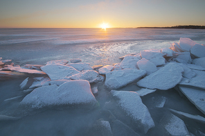 Winter landscape. Composition of nature.