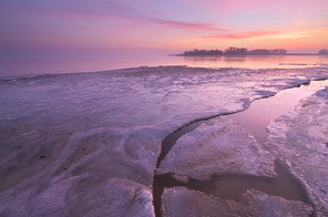 Icy morning. inter nature composition. Conposition of nature.