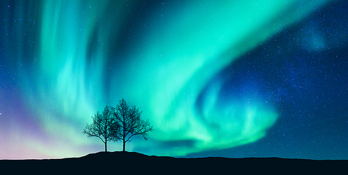 Aurora borealis and silhouette of the trees on the hill. Aurora. Northern lights. Sky with stars and green polar lights. Night landscape with bright aurora, tree, starry sky. Space background. Concept
