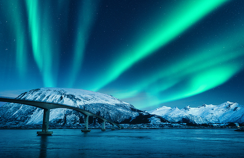 Bridge and aurora borealis over snowy mountains at night in Lofoten islands, Norway. Amazing northern lights and reflection in water. Winter landscape with starry sky, polar lights, road, sea. Space
