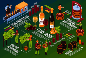Winery isometric flowchart drink stages production from vineyard till wine aging on green background horizontal vector illustration