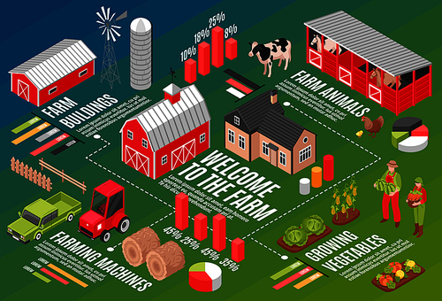 Isometric farm horizontal flowchart composition with infographic symbols graph icons editable text captions and farmstead images vector illustration