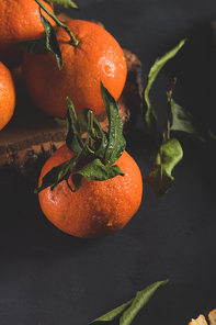 Fresh mandarin oranges or tangerines with leaves on textured dark background