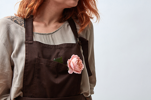 Red-haired woman florist in a brown apron with a fresh pink rose in a pocket on a gray background with space for text. Layout for your ideas