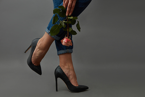 Stylish image of a girl holding in her hand a fresh pink flower in elegant black high-heeled shoes and jeans around a dark background with copy space.