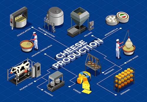 Cheese production isometric flowchart illustrated process from milk yield and pasteurization to fermenting pressing and ripening vector illustration
