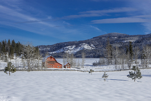 A small red barn stands in a snow covered field in north Idaho.