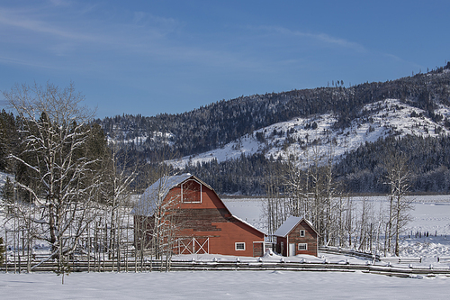 Barren trees surround this red barn standing in a snowy field in north Idaho.