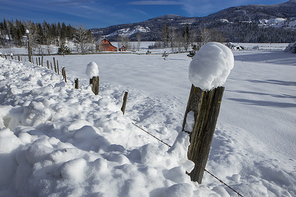 A fence row leads to a red barn in a snow covered field in north Idaho.