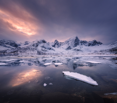 snowy mountains, blue sea with frosty coast, reflection in water and cloudy sky at colorful  in lofoten islands, norway. winter landscape with snow covered rocks, fjord with ice in the evening
