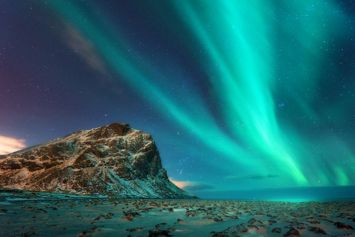 Aurora borealis above the snowy mountain and sandy beach in winter at night. Northern lights in Lofoten islands, Norway. Blue starry sky with polar lights. Landscape with aurora, frozen sea coast