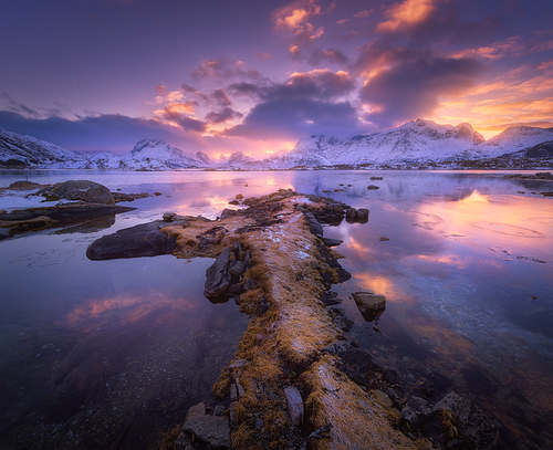 Sea coast, beautiful snowy mountains and amazing purple sky with clouds at colorful sunset in winter evening. Lofoten islands, Norway. Vibrant Landscape with stones, rocks in snow, reflection in water