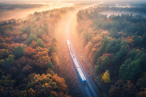 Aerial view of train in beautiful forest in fog at sunrise in autumn. Commuter train in fall. Colorful landscape with railroad, foggy trees with vibrant foliage, sunbeams. Top view. Railway station