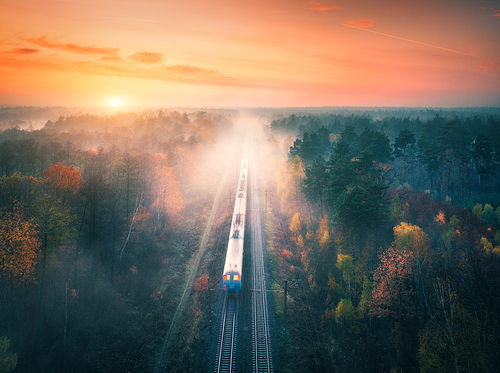 Train in beautiful forest in fog at sunset in autumn. Aerial view of commuter train in fall. Colorful landscape with railroad, foggy trees, orange leaves, red sky and mist. Top view. Railway station