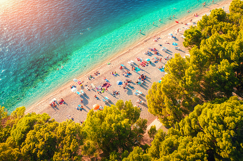 Aerial view of sandy beach with colorful umbrellas, lying people, clear sea bay with transparent blue water and green trees at sunny day in summer. Travel in Croatia, Adriatic sea. Top view. Seascape