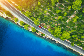 Aerial view of road in beautiful green forest and sea coast at sunset in spring. Colorful landscape with cars on roadway, blue water, trees in summer. Top view from drone of highway in Croatia. Travel
