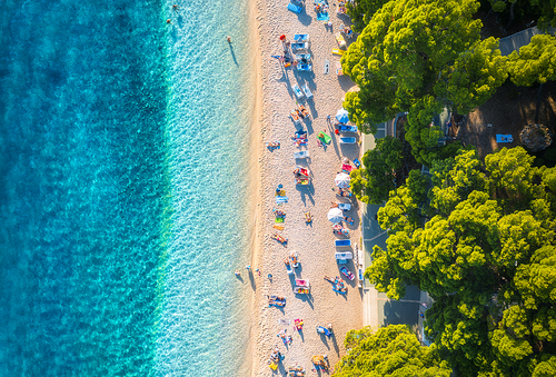 aerial view of sandy beach with colorful umbrellas, swimming people, clear sea bay with transparent blue water and green trees at  in summer. travel in croatia, adriatic sea. top view. seascape