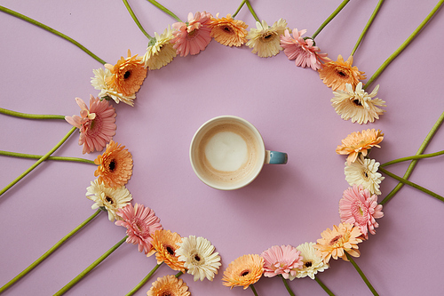 Blue cup of coffee in an a round frame of colorful gerbera flowers on a pink background with concept from Mother's Day
