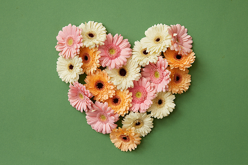 Heart made from fresh gerbera flowers on a green background. St. Valentine's Day flat lay copy space