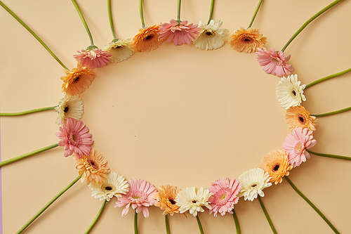 Oval frame from different colorful gerbera flowers on a beige background as post card for Valentine's Day, 8 march or Mother's day. Top view