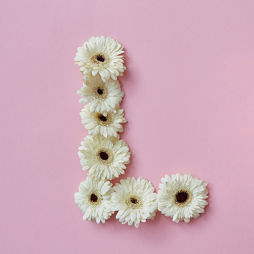 letter L made of gerbera flowers. Part of the word LOVE , floral alphabet, flatlay
