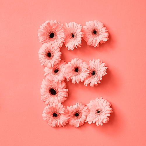 Decorative floral pattern made of gerbera flowers on a color background of the year 2019 Living Coral Pantone. Letter E, part of the word LOVE. Concept St. Valentine's Day or Mother's Day.