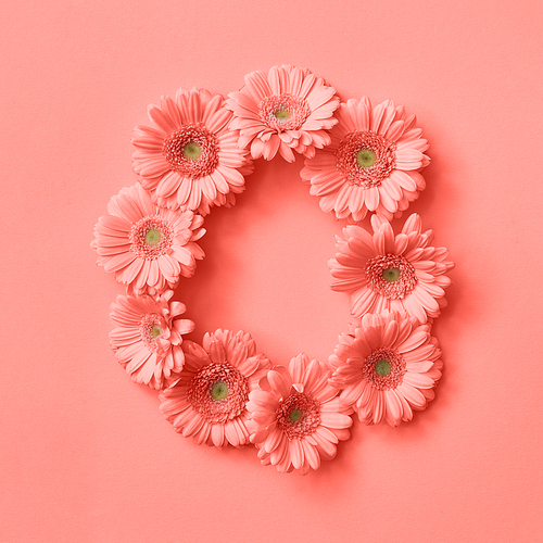 Round frame made of gerbera flowers on a color background of the year 2019 Living Coral Pantone. Letter O, part of the word LOVE , floral alphabet, flat lay. Concept St. Valentine's Day.