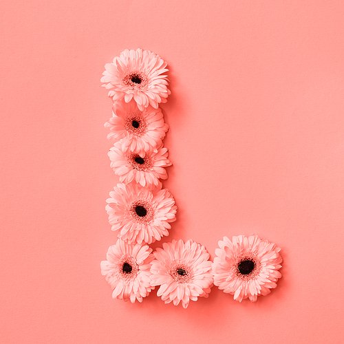 Decorative pattern letter L from gerbera flowers on a color background of the year 2019 Living Coral Pantone. Letter L, first part of the word LOVE, floral alphabet. Concept St. Valentine's Day.